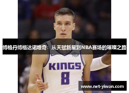 博格丹博格达诺维奇：从天赋新星到NBA赛场的璀璨之路
